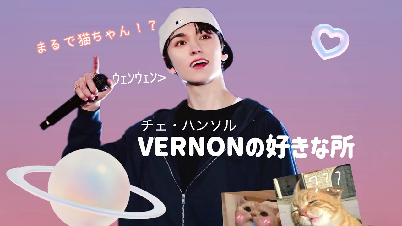 【セブチ】バーノンの猫のような生態とかわいい面白い所