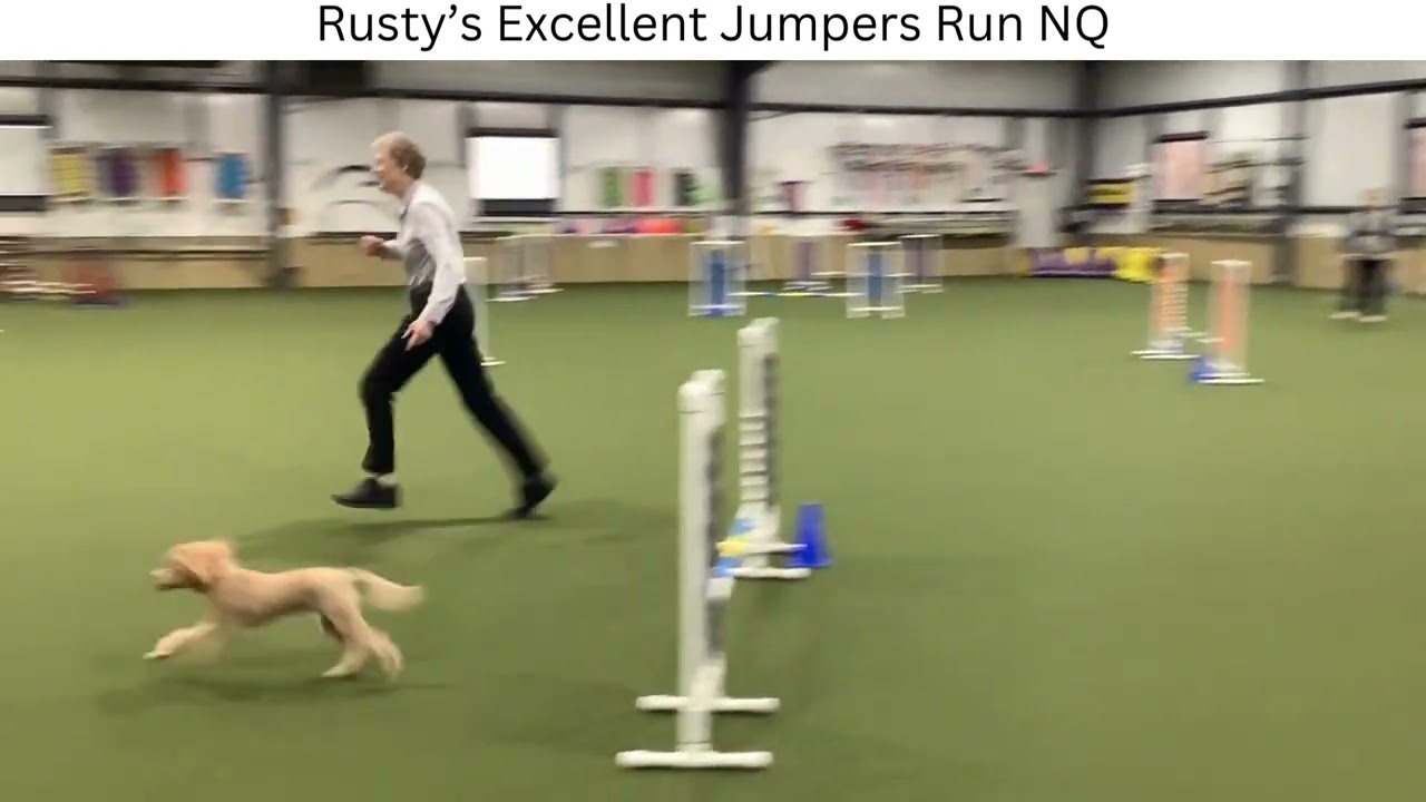 2026 1 18 Rusty runs agility