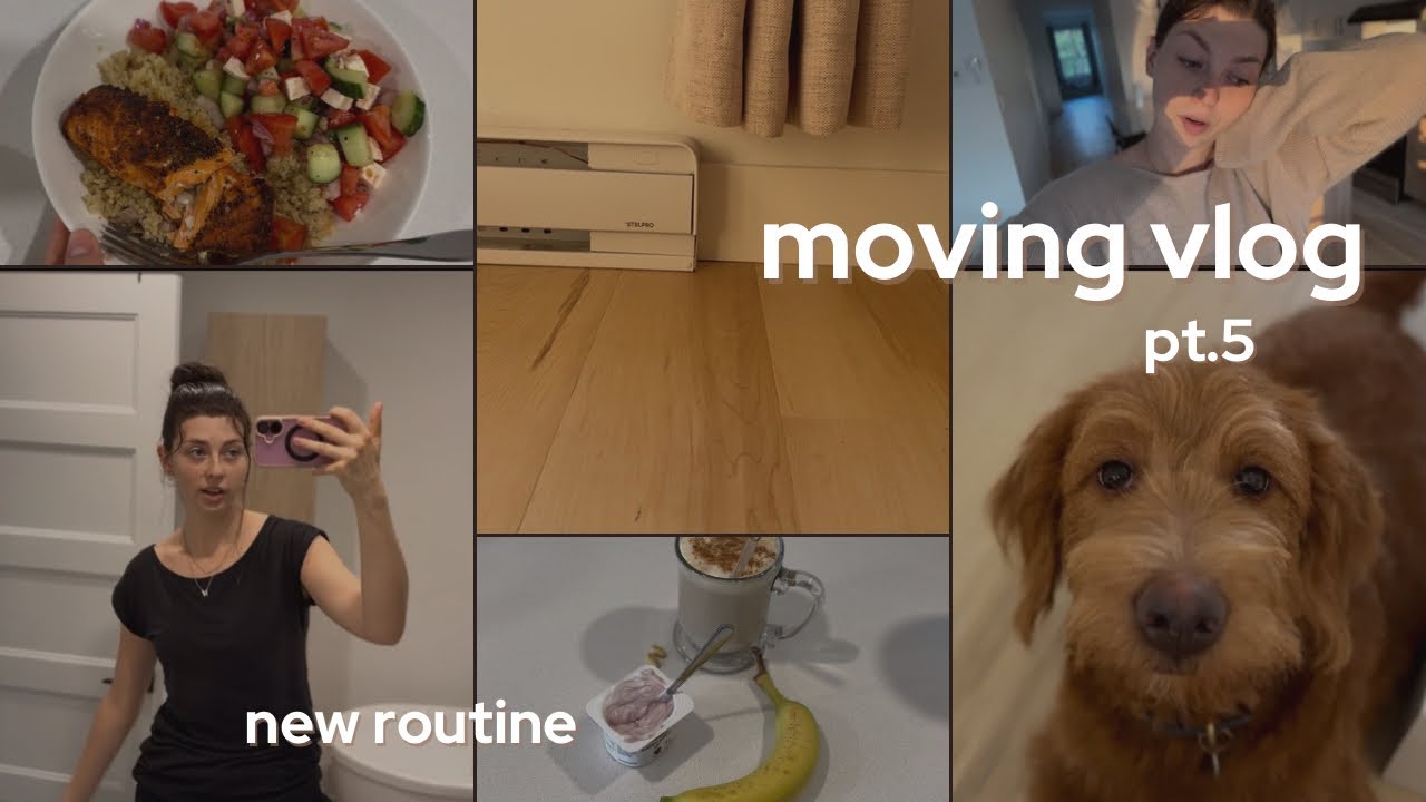 MOVING VLOG - pt. 5 - starting a new routine