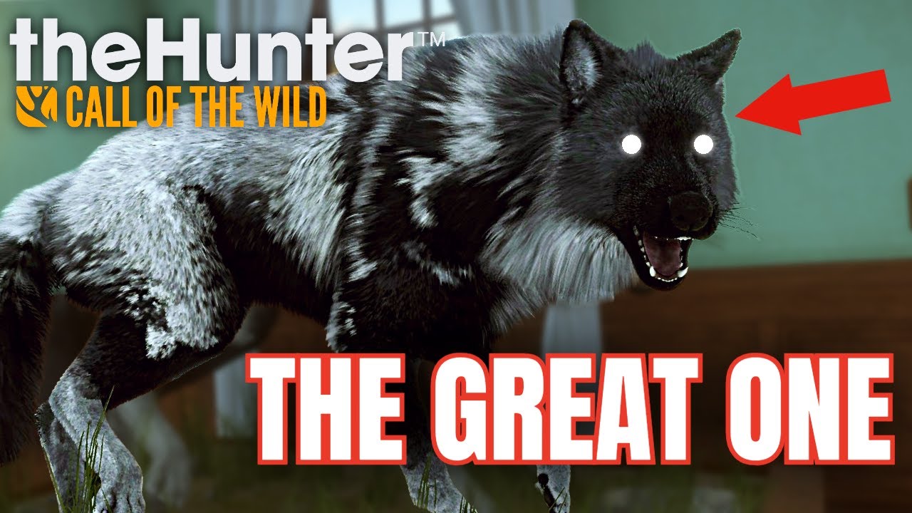 Я наконец-то заполучил Великого Волка… и это было БЕЗУМНО! | theHunter COTW