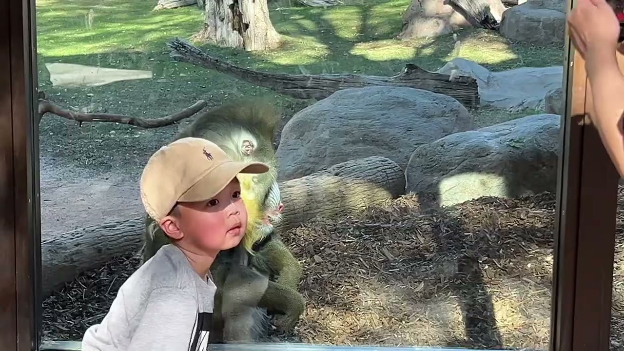 PHOENIX ZOO
