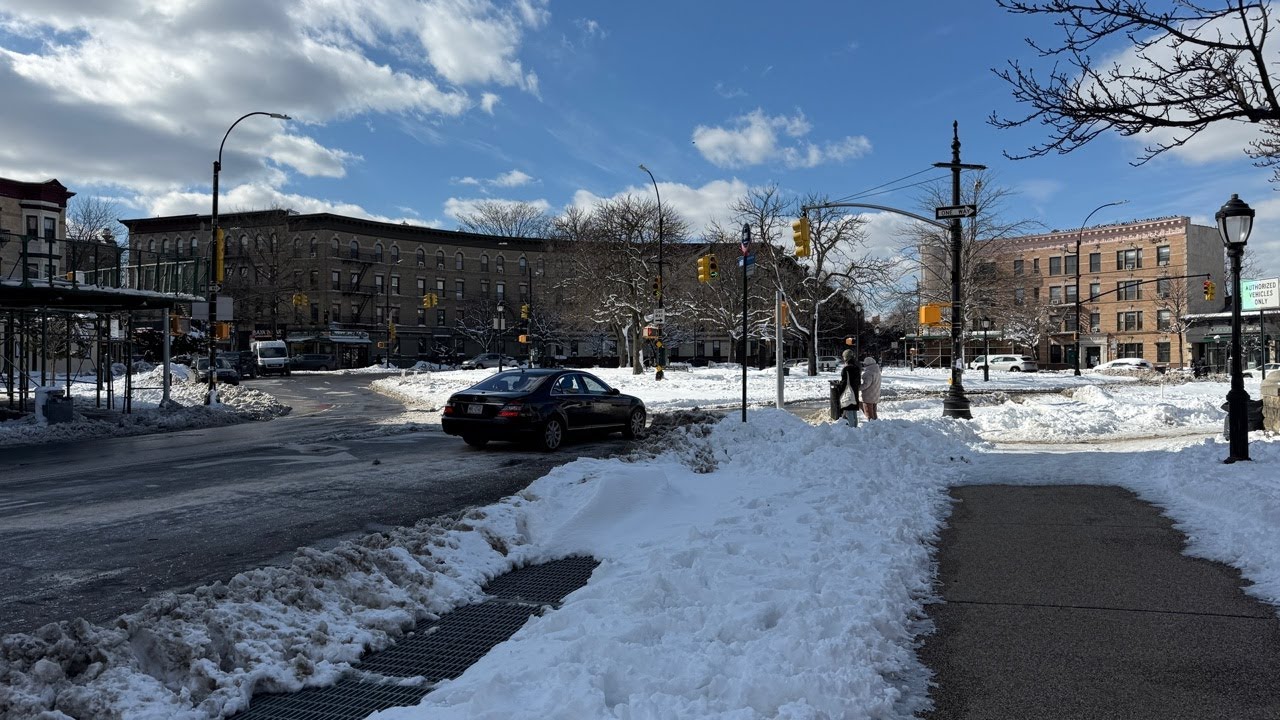 🔴 NYC Live: Blizzard of 26 Aftermath Brooklyn Prospect Park 🥶❄️- 2/24/26