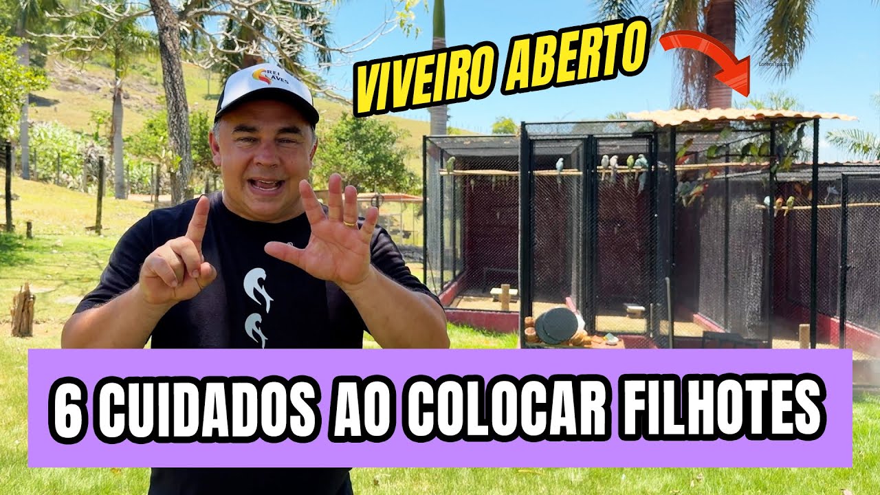 6 CUIDADOS AO COLOCAR FILHOTES NO VIVEIRO DE RECREAÇÃO