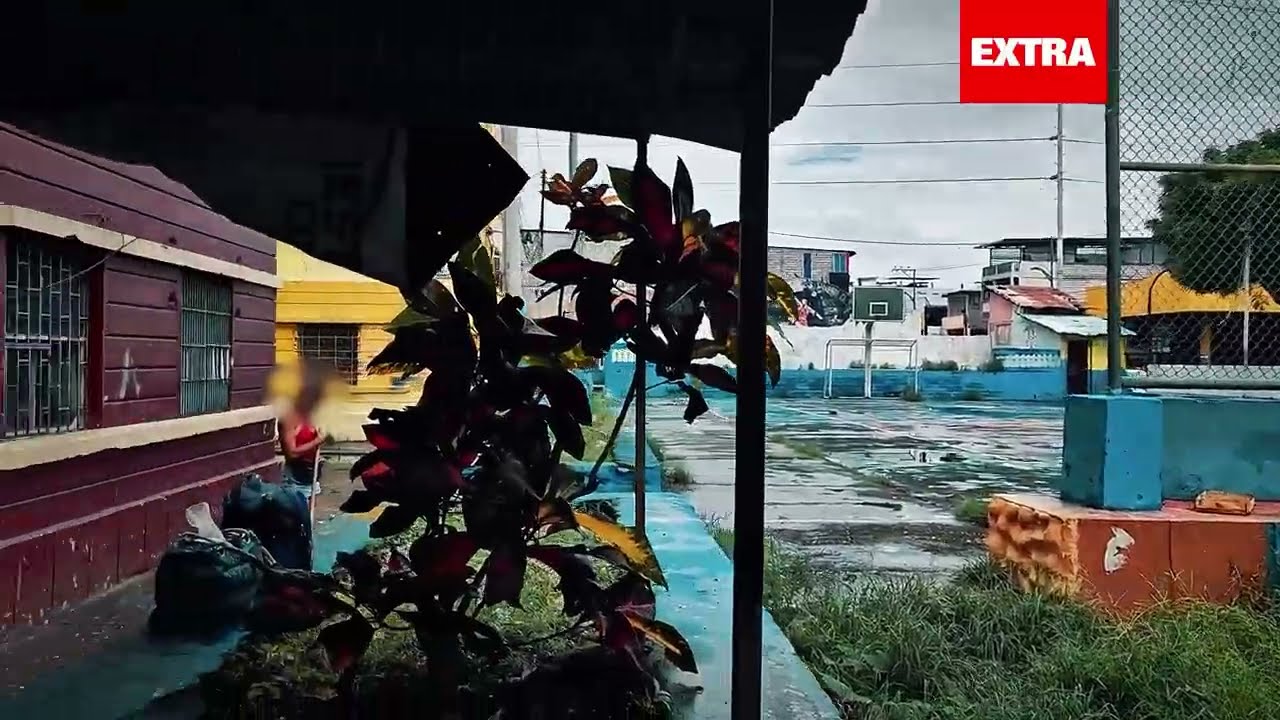Así se vive en Casas Colectivas: v1olenc1a y abandono en el centro de Guayaquil