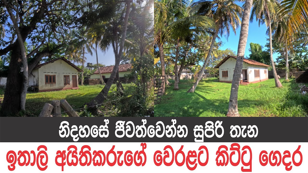 මීගමුවට, මාලු ලෙල්ලමට, මුහුදු වෙරළට නුදුරින් ඉතාලි අයිතිකරැගේ වටින ගෙදර..