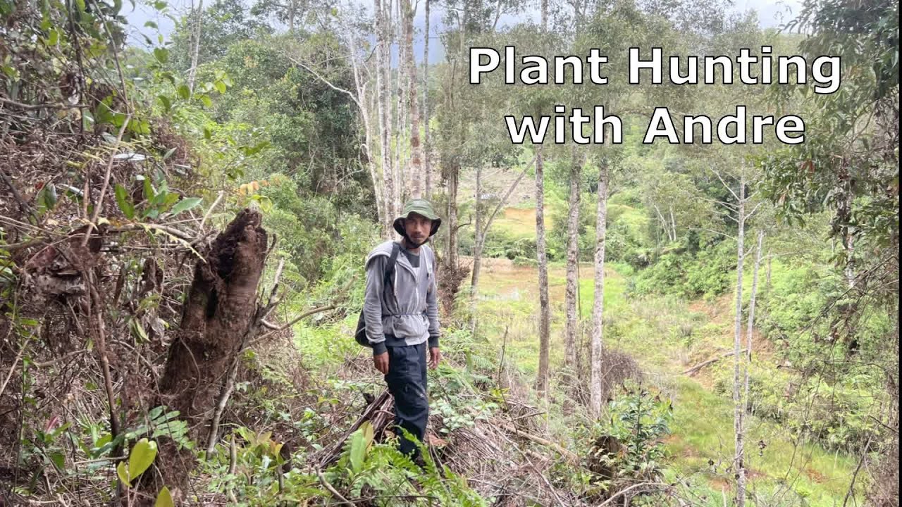 Plant Hunting with Andre
