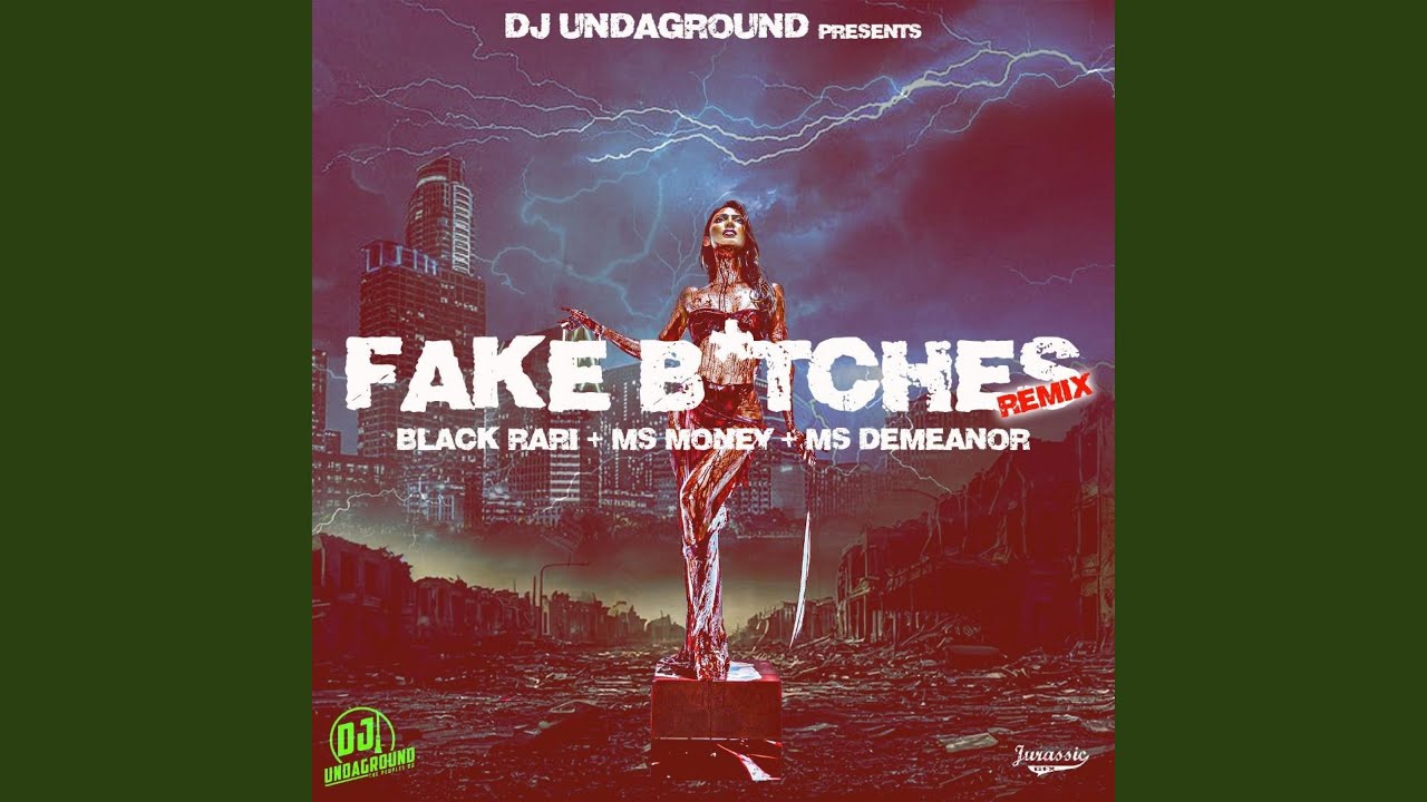 Fake Bitches ATX (feat. MsMoney, Blaque Rari & MsDemeanor) (ATX Remix)