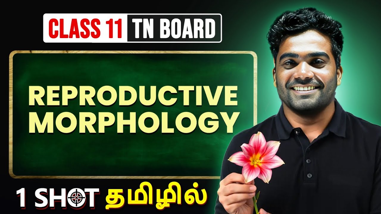 REPRODUCTIVE MORPHOLOGY in One Shot | BOTANY in Tamil |Class 11 TN Board