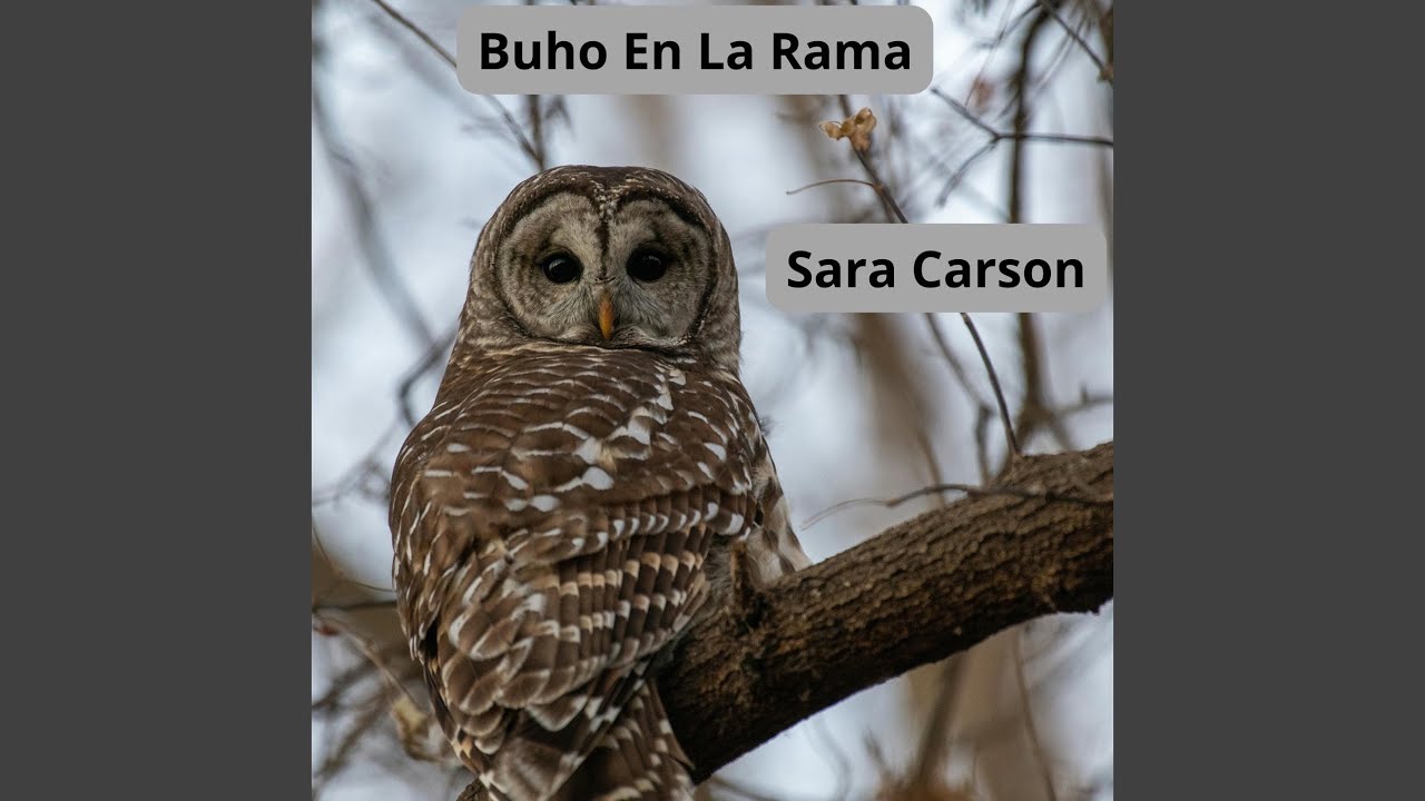 Bajo la Luna de Santo Domingo