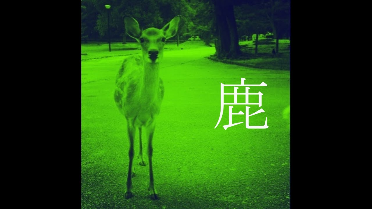 Psychedelic Rock Type Beat - 043 Deer [ pop / Indie Rock / lofi  / Boom Bap / 60s ]