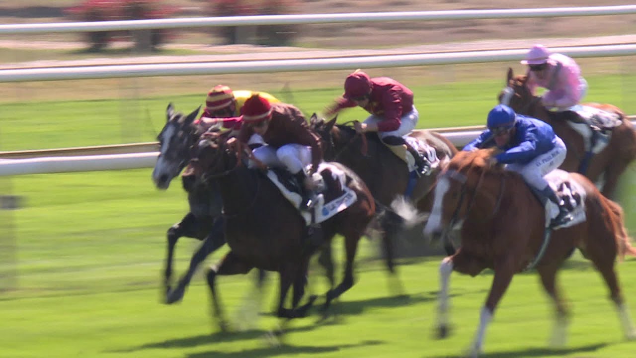 Dopage dans le monde du cheval : réaction à l'hippodrome de La Teste, d'où est partie l'enquête