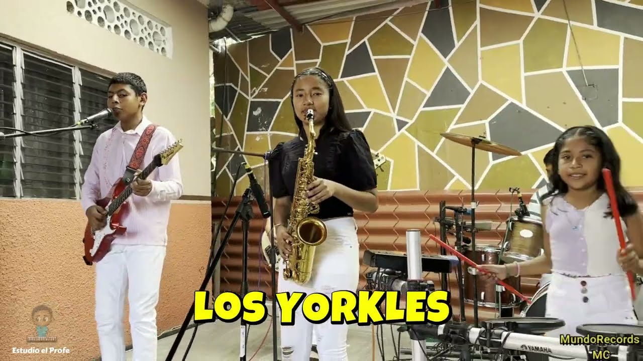 Los Yorkles | Cumbia Morena