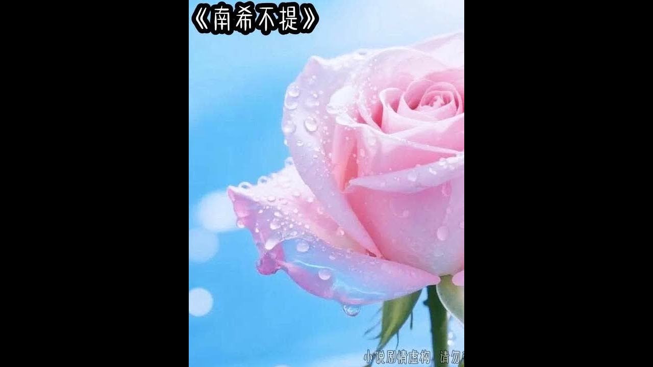 南希不提 #女生必看 #文荒推荐 #炒鸡好看小说