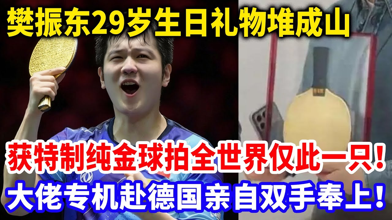 樊振东29岁生日礼物堆成山，获特制纯金球拍全世界仅此一只，大佬专机赴德国亲自双手奉上#樊振东 #樊振东德甲