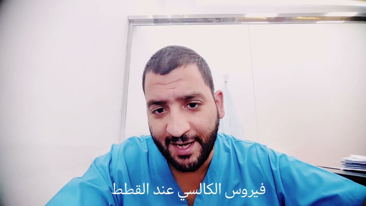 سلسلة أمراض القطط والكلاب الجزء ٣ (  فيروس الكالسي في القطط (