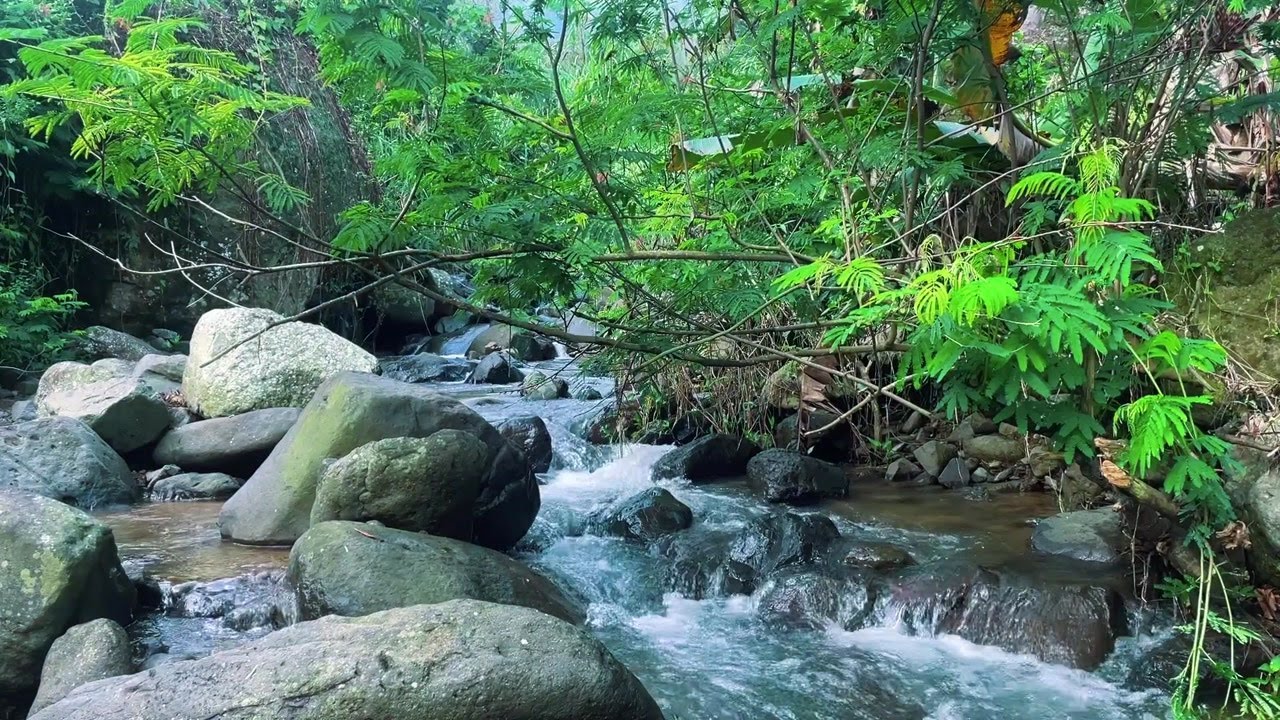 Moonlight River Ambience – Gentle ASMR Water Flow for Better Sleep All Night Long