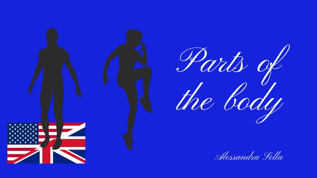 Lesson 68 - Parts of the BODY - Parti del corpo