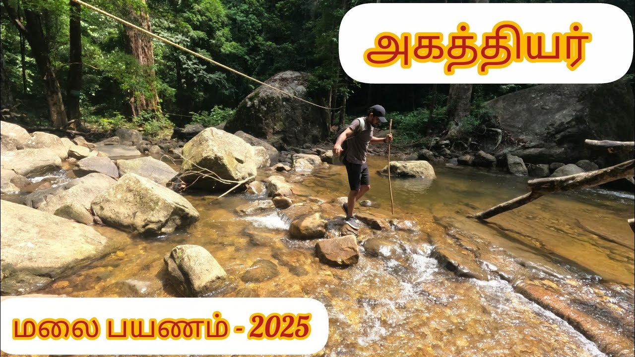 அகத்தியர் மலை பயணம் - 2025😍 AGASTHIYAR MALAI TREKKING😱 AGASTHYARKOODAM 🔥🙏 2025 Tamil |Pothigai Malai