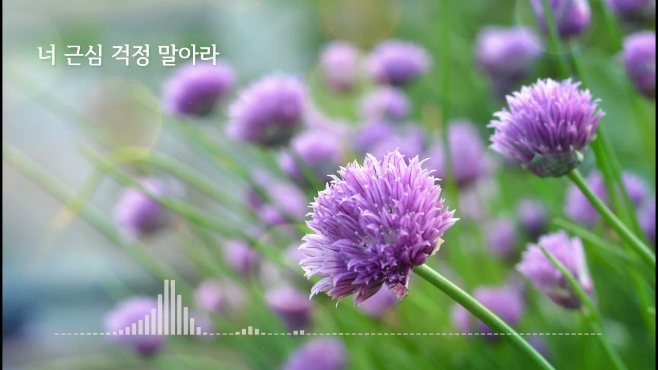 너 근심 걱정 말아라 Be not dismayed whate'er betide 새찬송가#382 #바이올린찬양