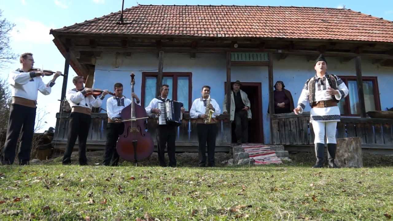 CIPRIAN ILIE - Vai de frunzele de nuc