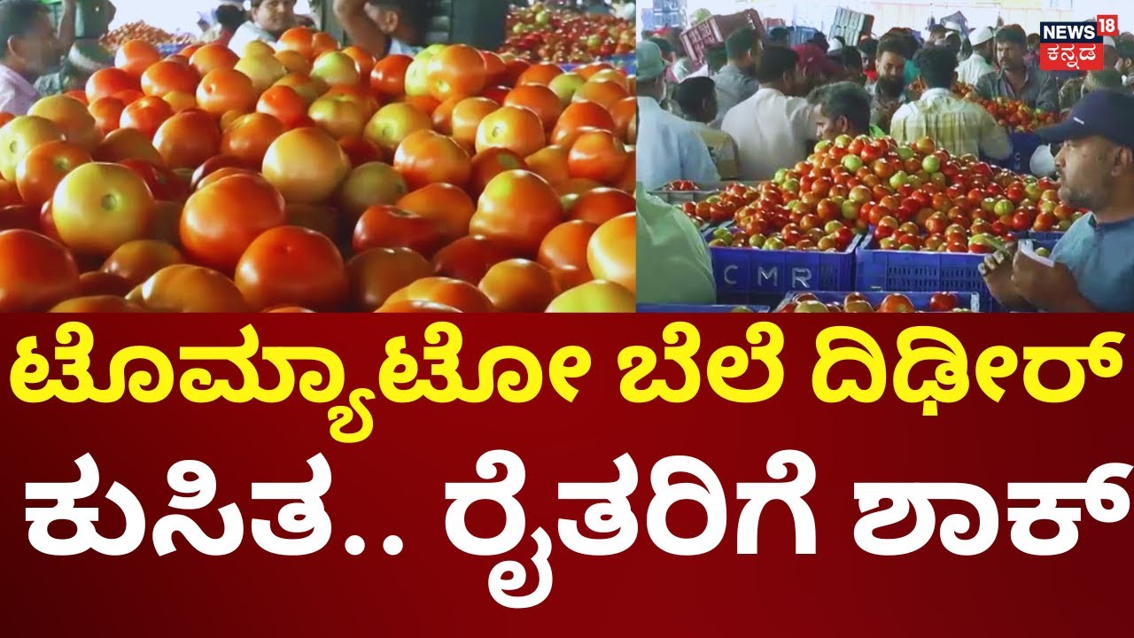 Tomato Price Drop | ಕೋಲಾರ APMC ಮಾರ್ಕೆಟ್​ನಲ್ಲಿ ದರ ಇಳಿಕೆ, ರೈತರಿಗೆ ಬಿಗ್ ಶಾಕ್