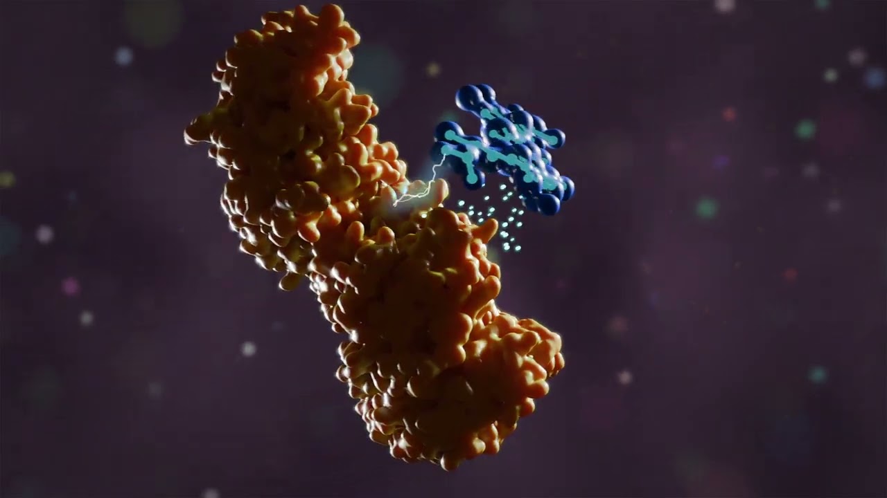Cognitant: Interactive animation for medical education