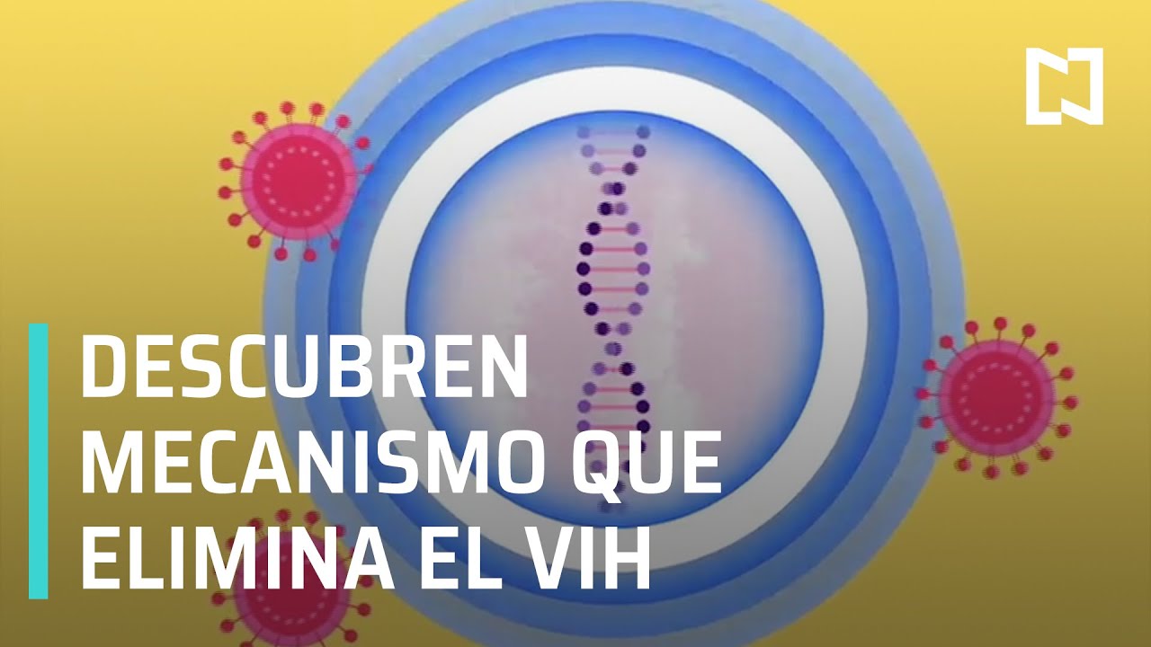Descubren nuevo mecanismo que elimina el VIH del cuerpo - Las Noticias