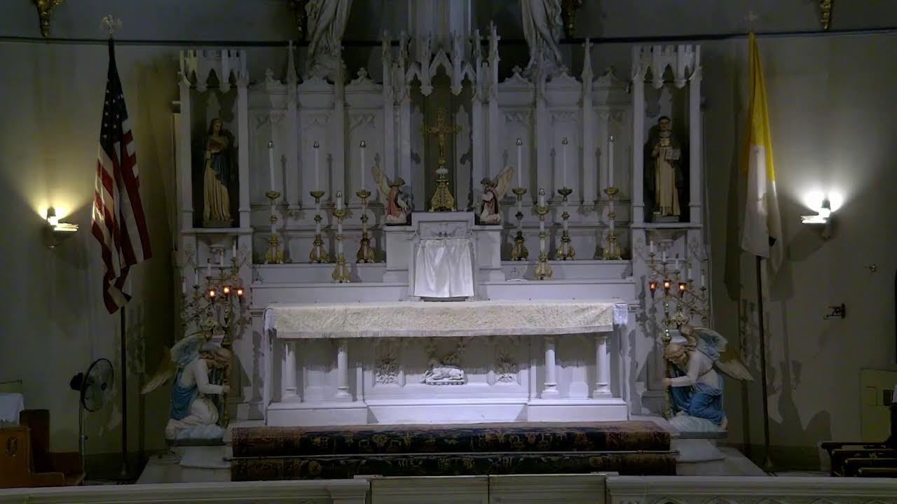 Holy Mass 2/12/26 - Feast of the Seven Holy Founders of the Servites