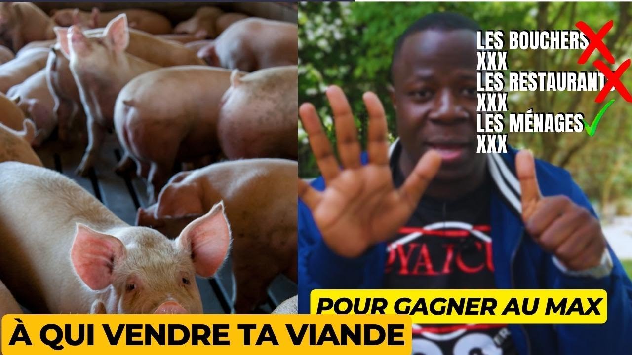 L'élevage de porc ne paye pas, si tu ne comprends pas ces principes !