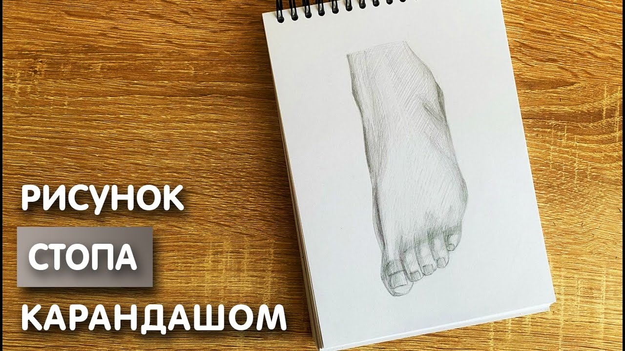 Как нарисовать стопу карандашом | Рисунок для начинающих поэтапно