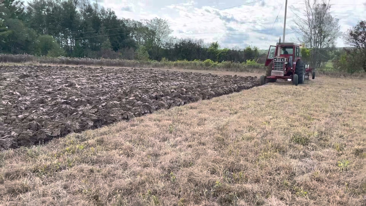 IH 1066 with 710 5 bottom plow