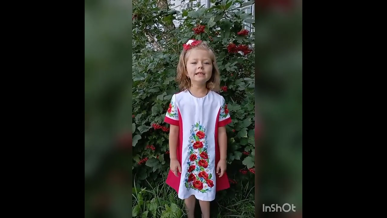 День Незалежності України в ДНЗ