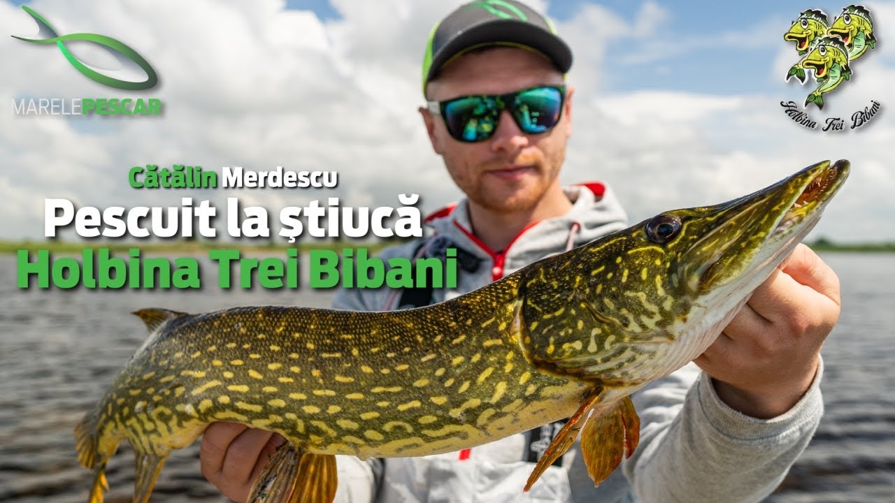 Pescuit la stiuca cu Catalin Merdescu | Holbina Trei Bibani | MarelePescar