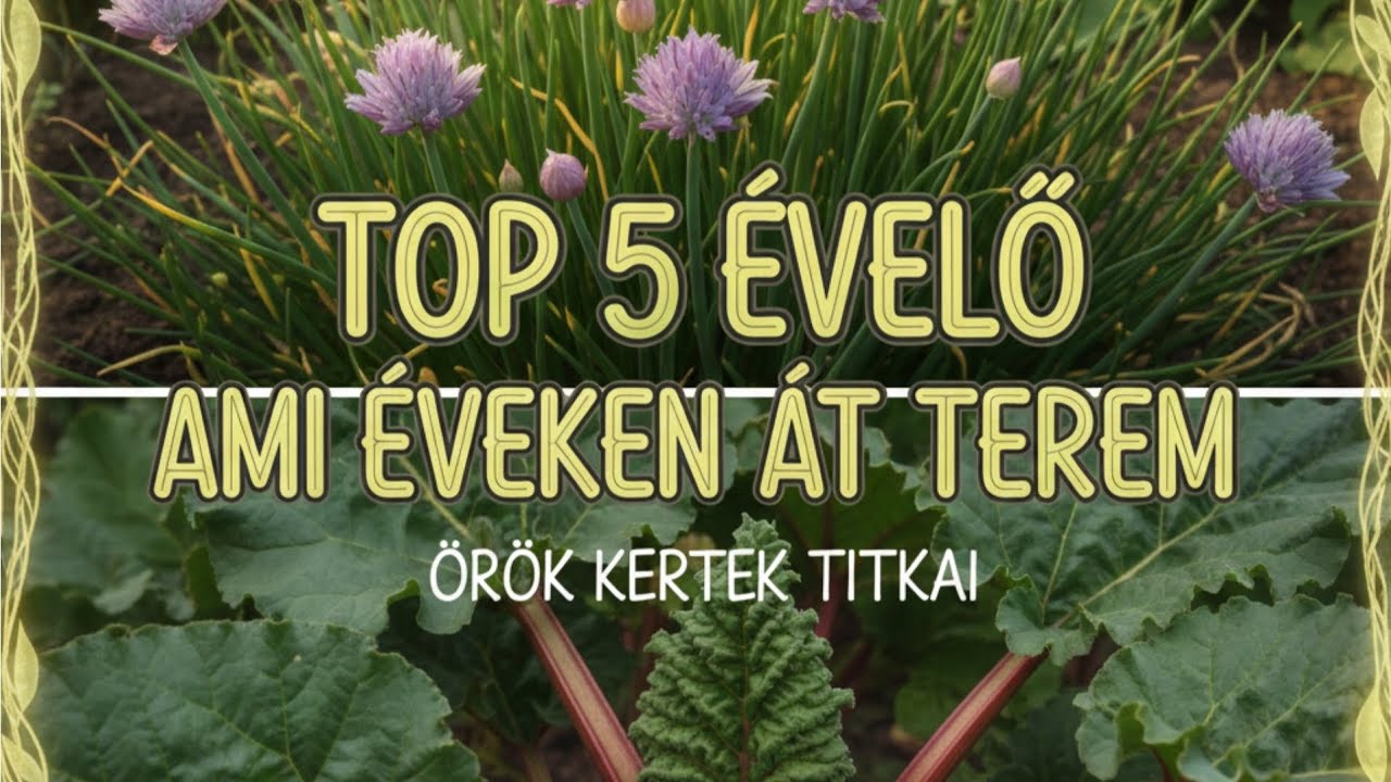 TOP 5 ÉVELŐ, ami éveken át terem 