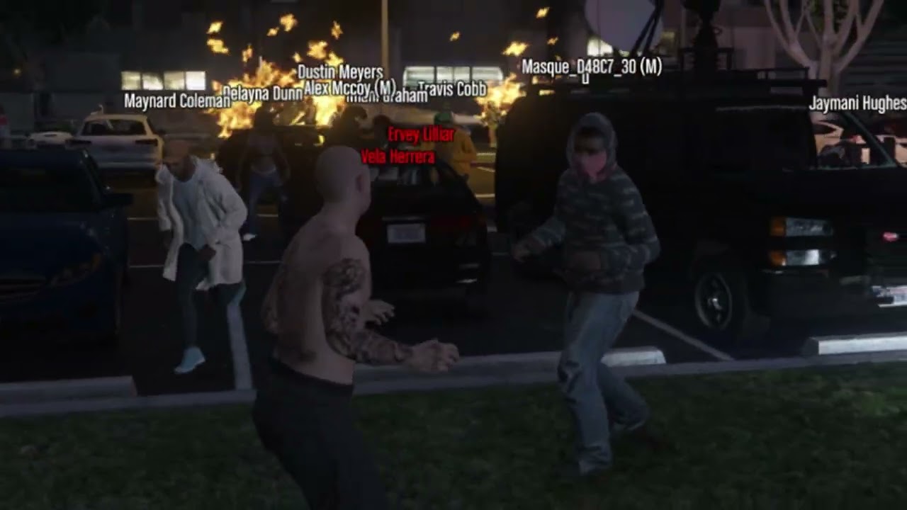 (GTAW:FR) skinhead's fun pt2