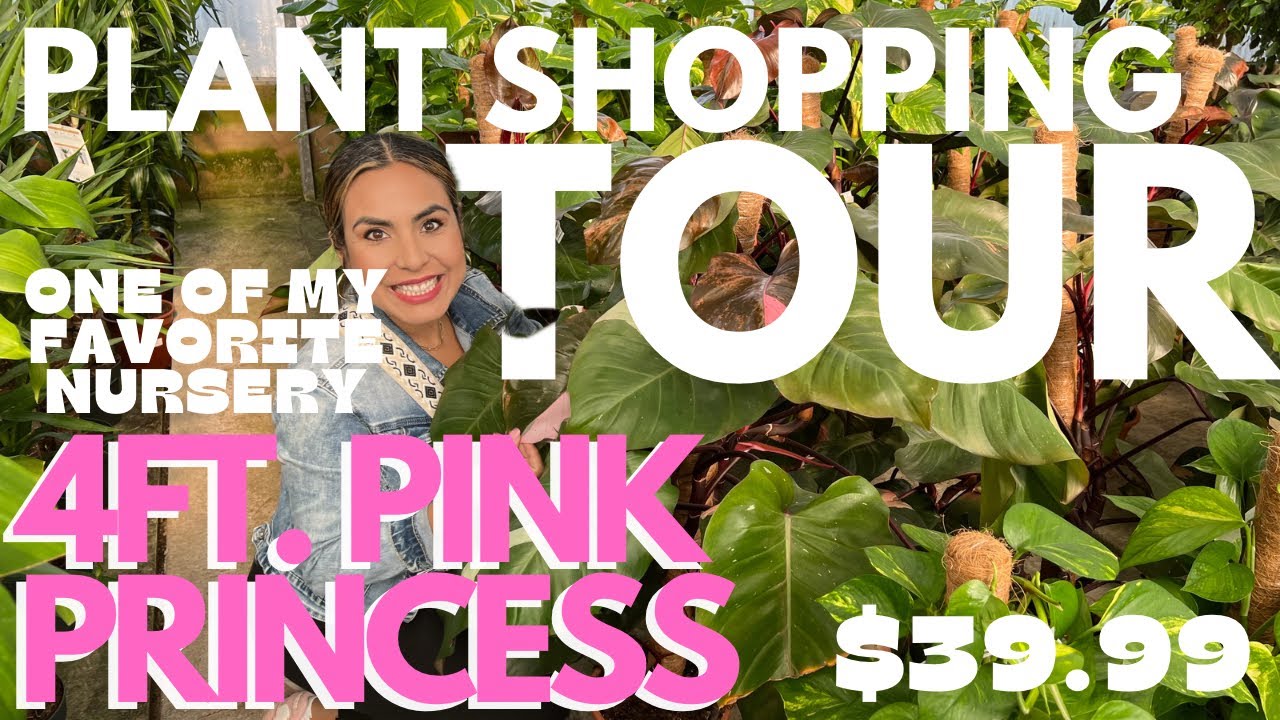 PLANT SHOPPING TOUR IN ONE OF MY FAVORITE PLANT NURSERIES EVER!!!!