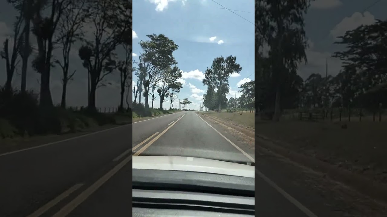 Um passeio de carro 