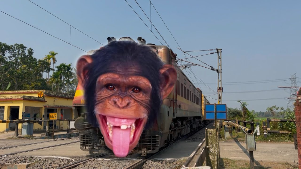 Dangerous Chimpanzee Headed Intercity Express Furious Fastest Moving at Railgate 