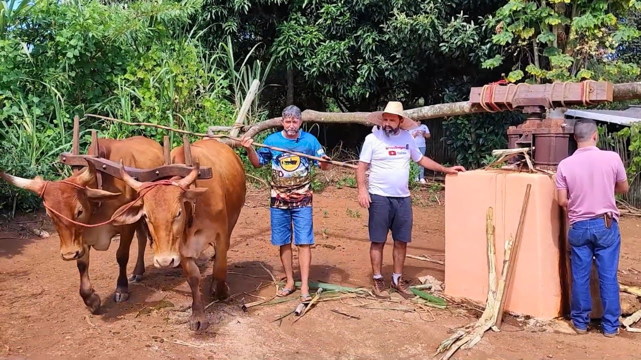 SR. VAGUINHO E SUA FAMÍLIA AINDA VIVEM NA SIMPLICIDADE DA ROÇA.