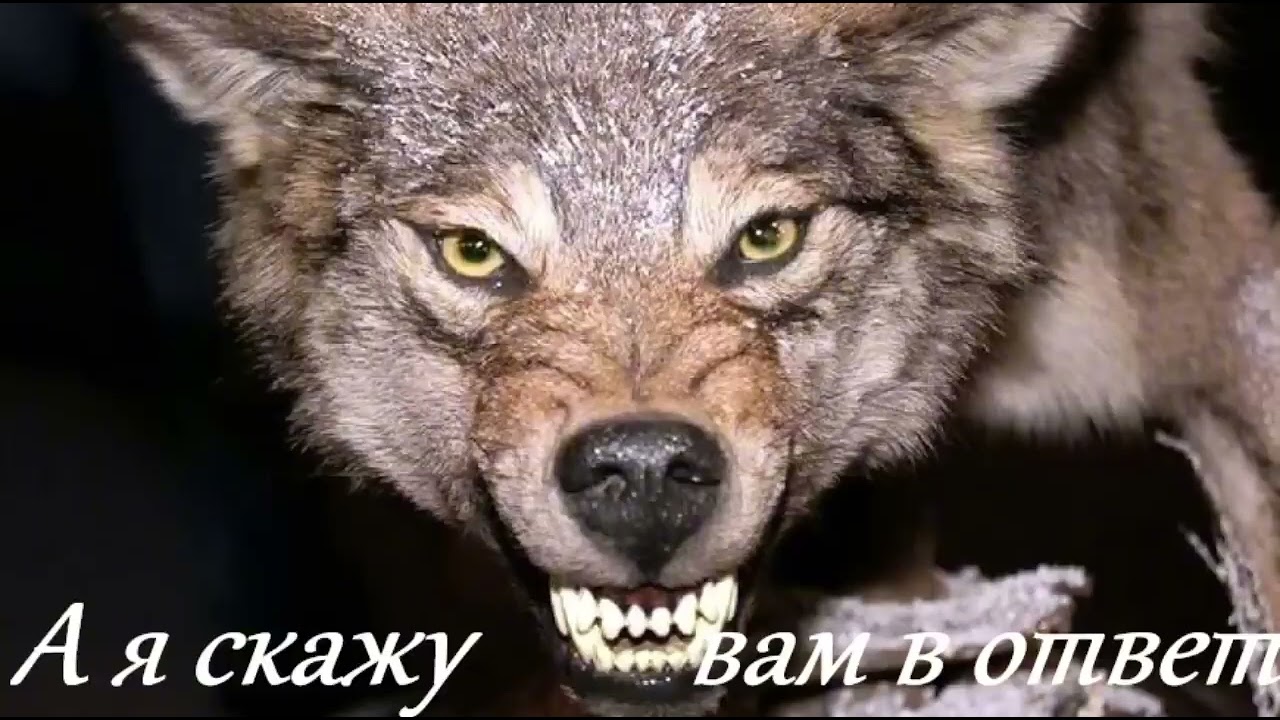 Garik Garik. А я скажу Вам в ответ...