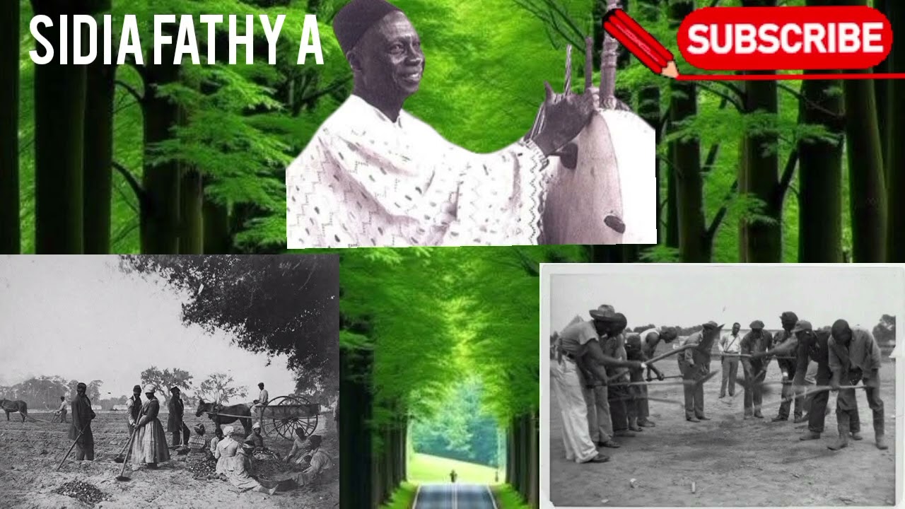 The history of kelepha sanneh by lalo keba darameh please subscribe and share 