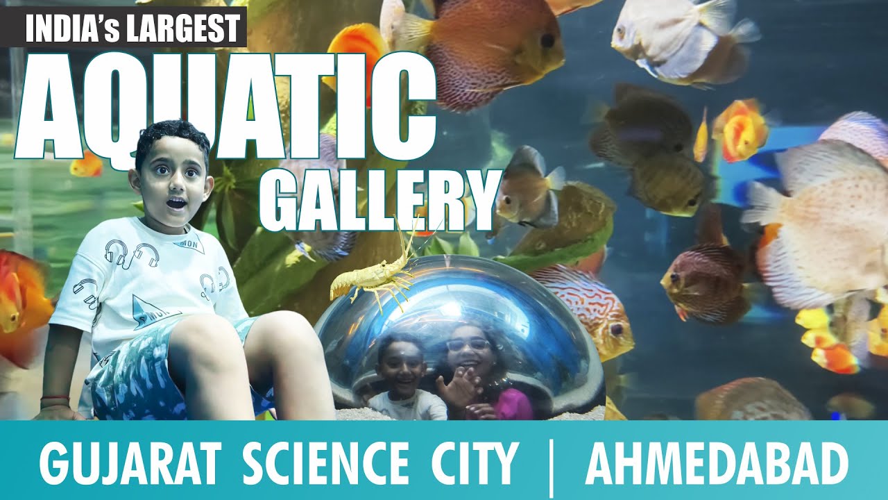 Aquatic Gallery | Gujarat Science City | Ahmedabad | India Jhanko