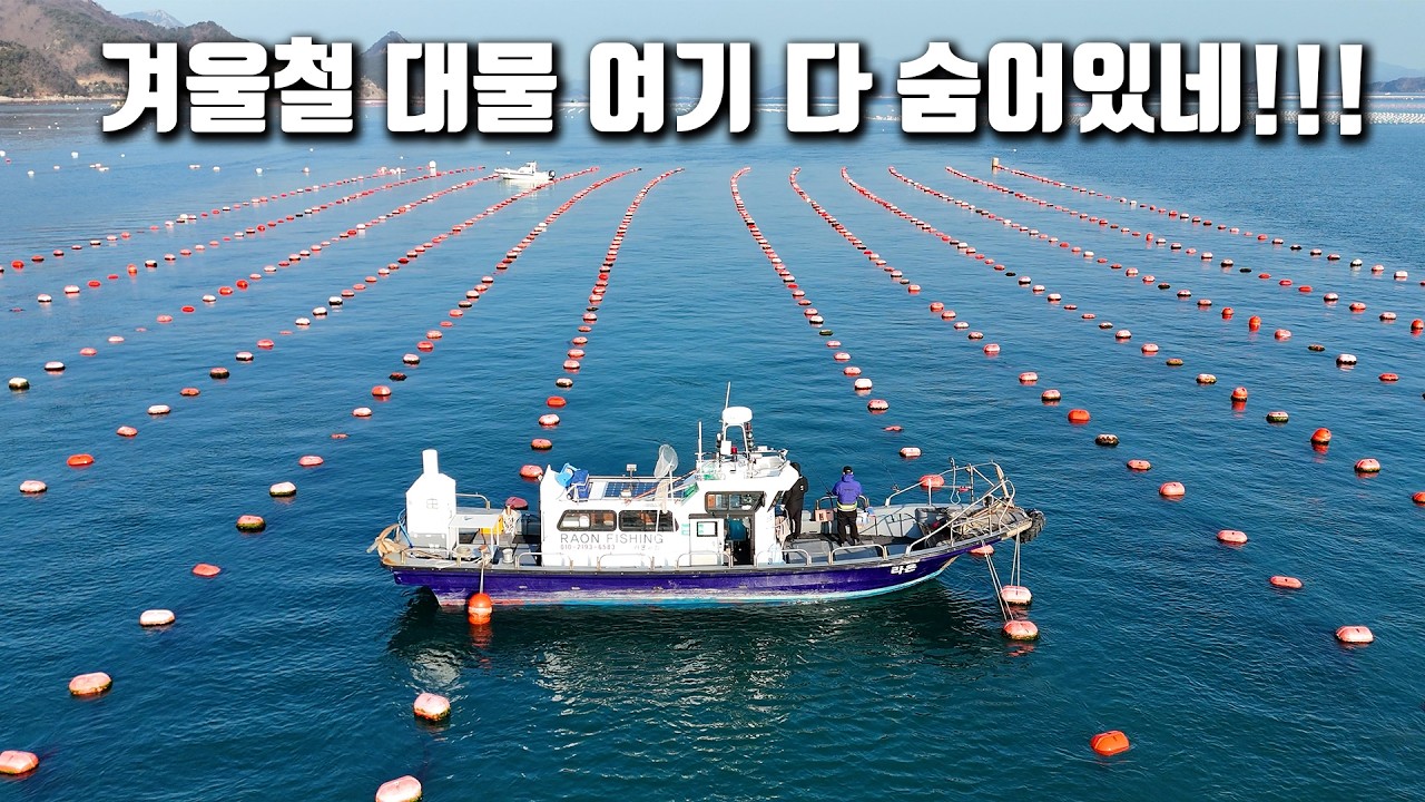 양식장 위에 낚싯대를 마구 던졌더니 어마무시한 놈들이 줄줄이 올라온다!