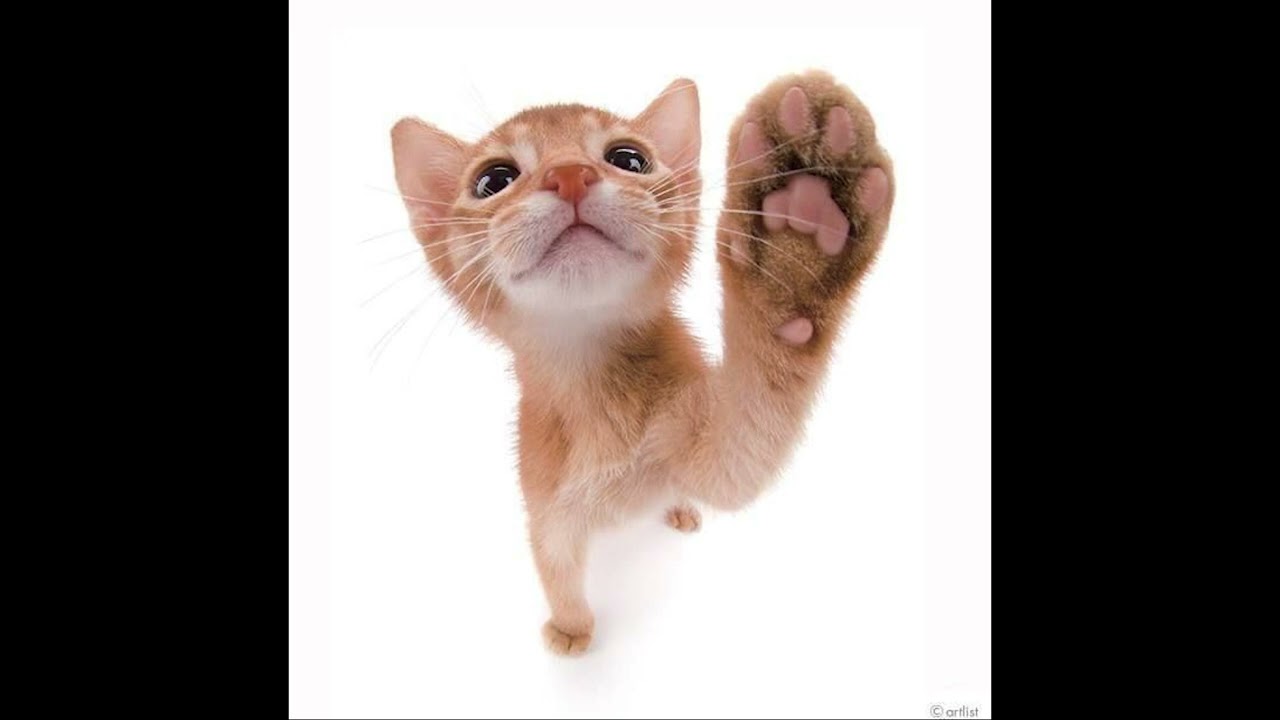 fakemink + nettspend type beat - 