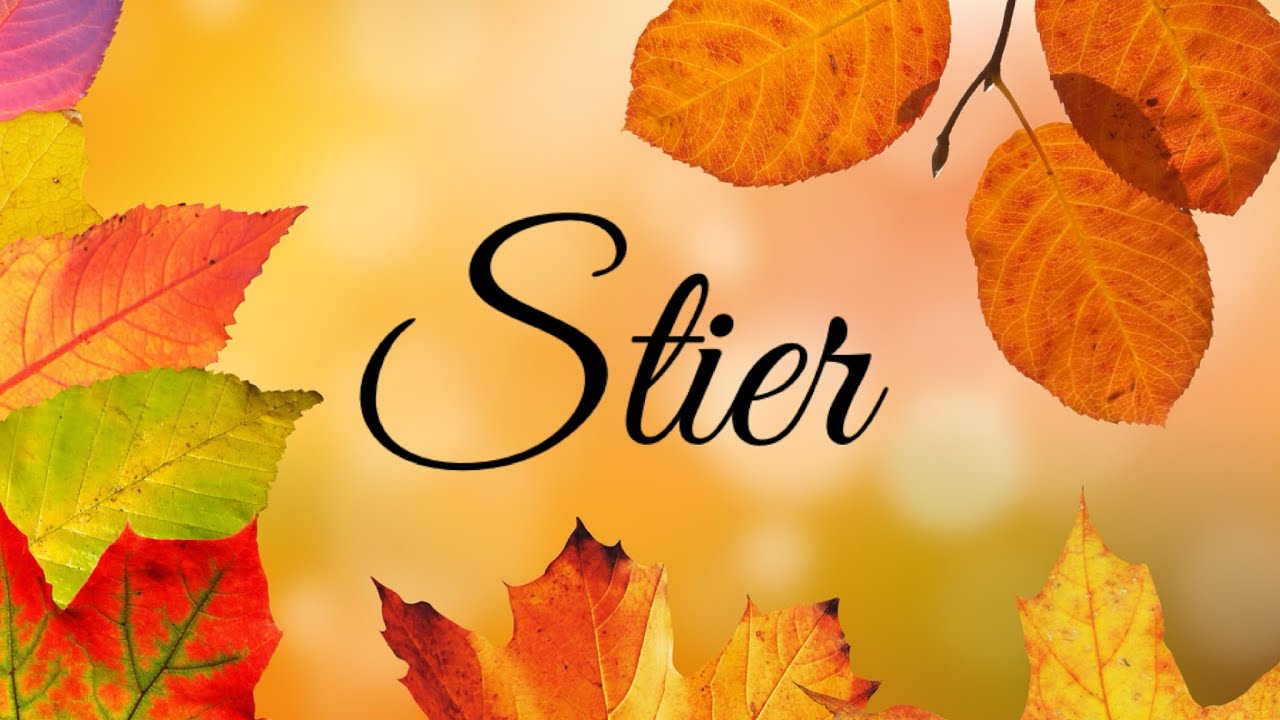 Stier ♉️ Schreite mutig voran! Du bekommst neue Lebenslust, Zuversicht, Freude & reife Erkenntnisse.