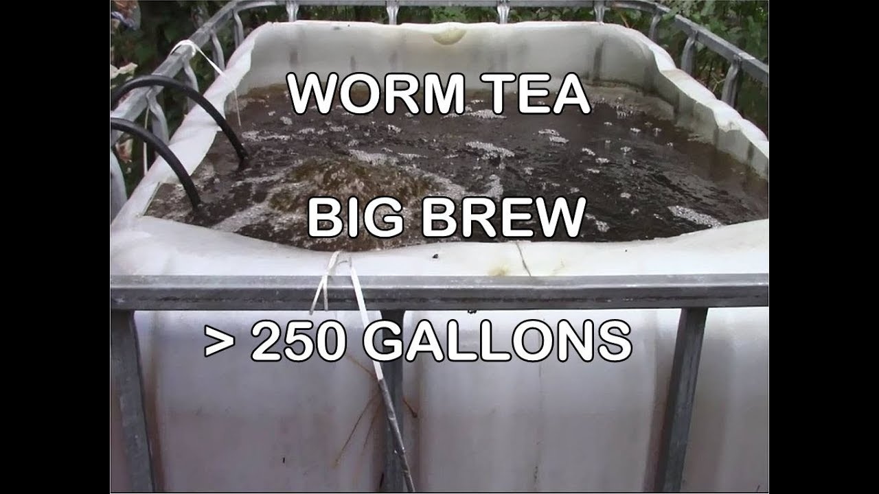 Large 250 Gallon Worm Tea Brew in IBC Totes