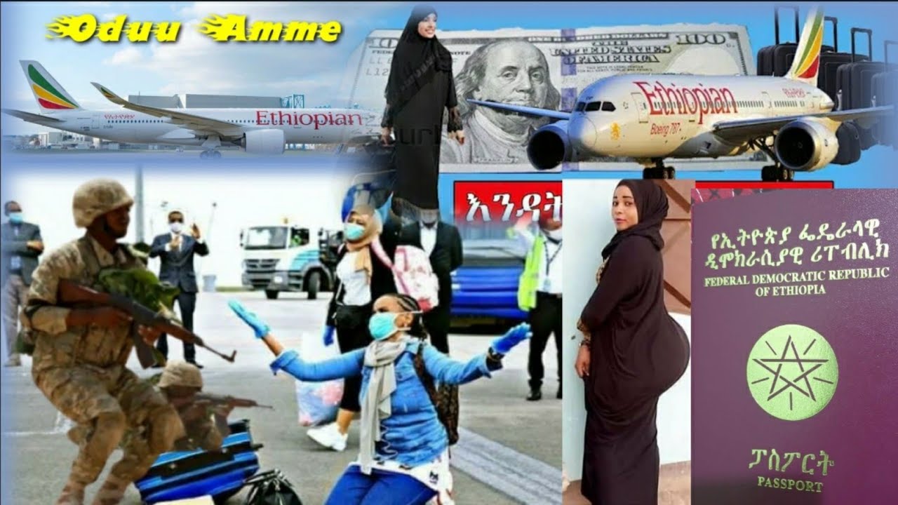 Oduu amme ijjoollee biyya araboota irraa gara ethiopia galanif motummaan booleetti hidhaa jira malo