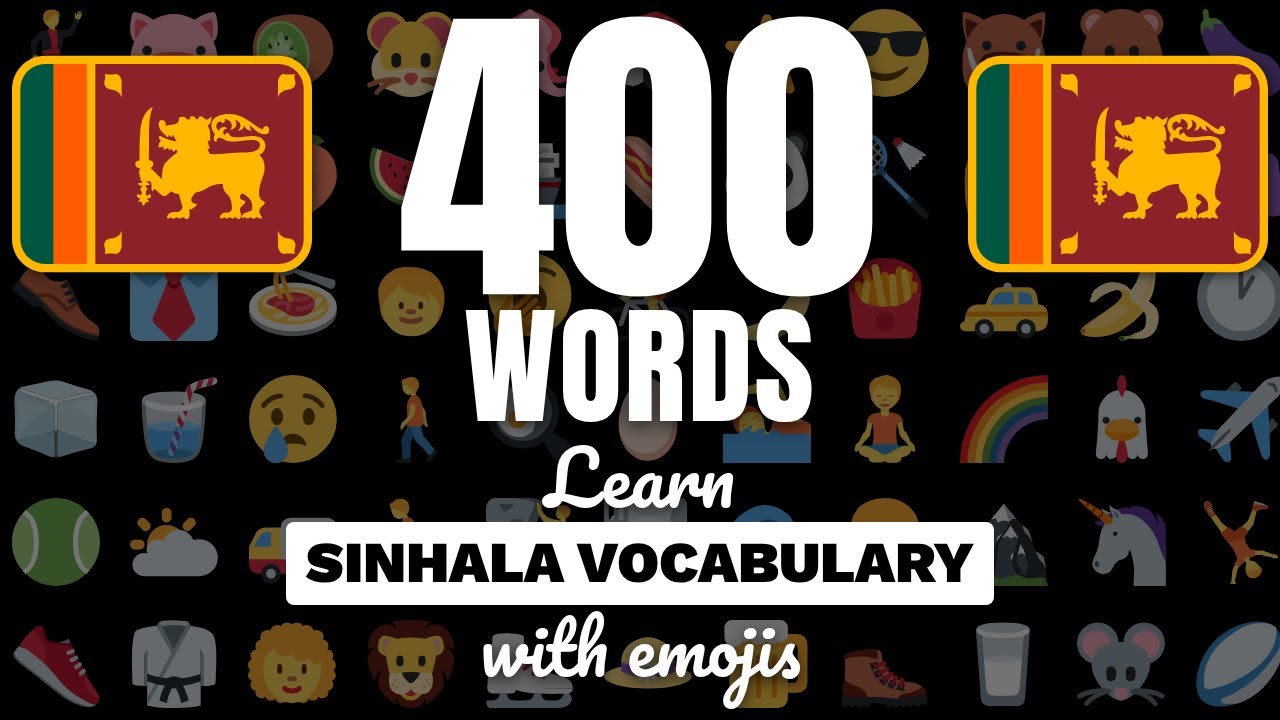 Learn Sinhala vocabulary with emojis and example sentences! Basic nouns & adjectives