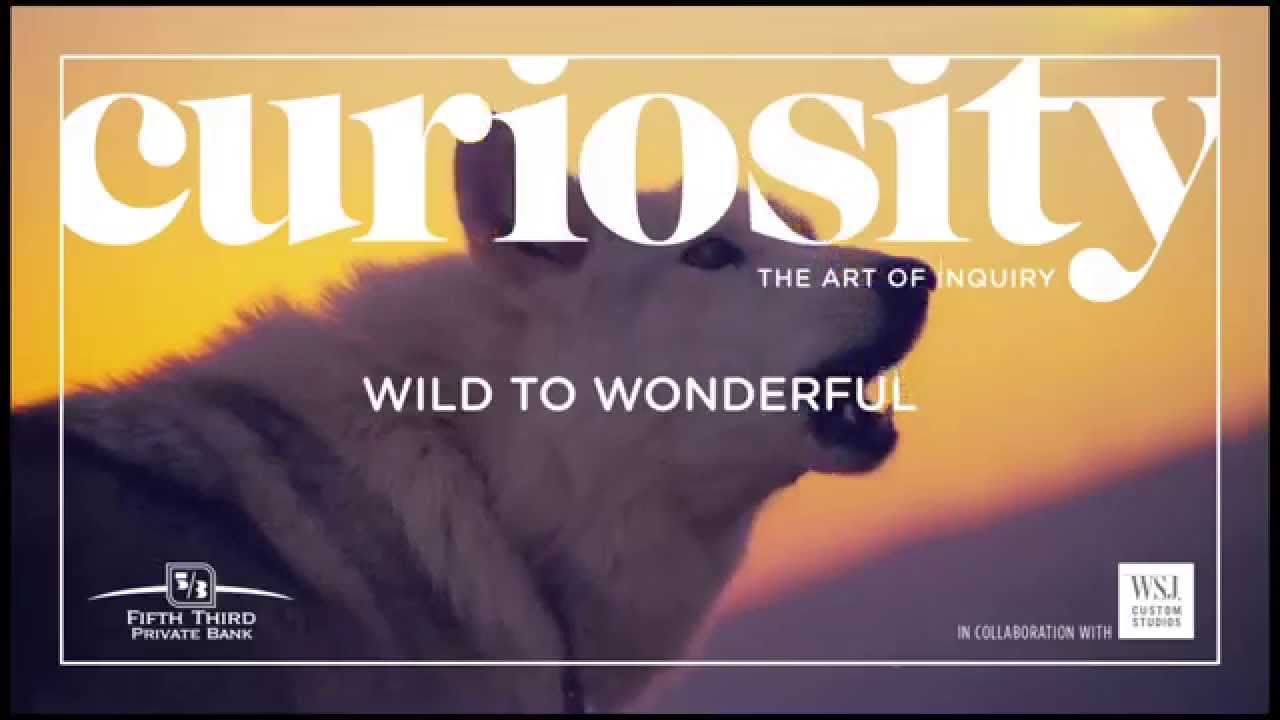 Curiosity Magazine: Wild to Wonderful