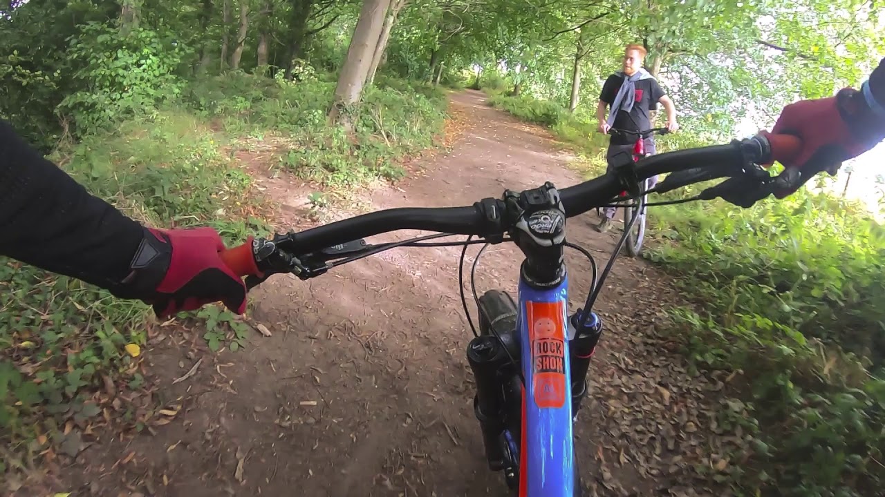 Erddig Park MTB trail section 1